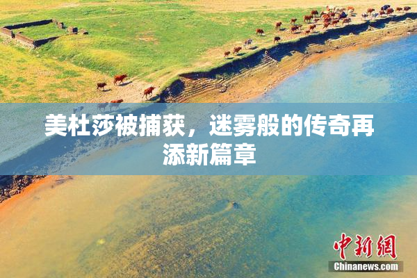 美杜莎被捕获，迷雾般的传奇再添新篇章