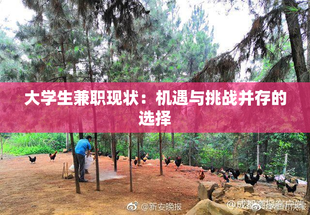 大学生兼职现状：机遇与挑战并存的选择