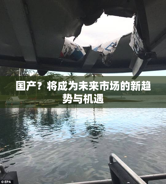 国产？将成为未来市场的新趋势与机遇