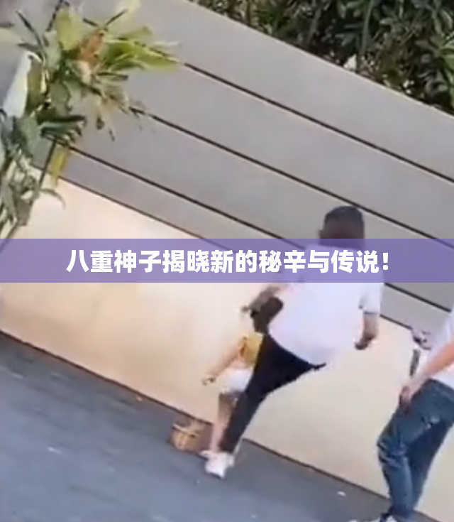 八重神子揭晓新的秘辛与传说！