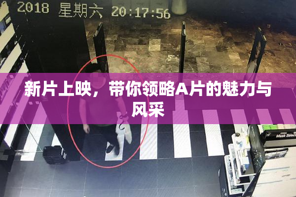 新片上映，带你领略A片的魅力与风采