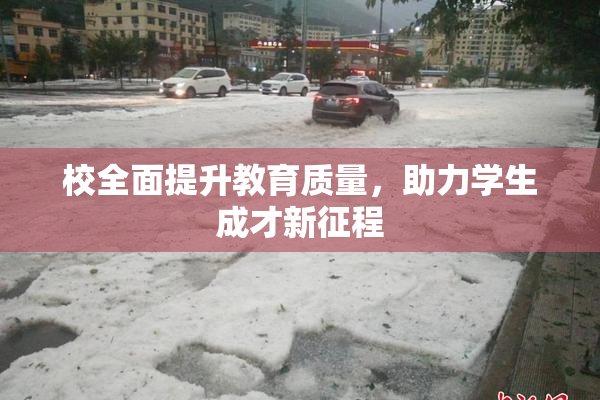 校全面提升教育质量，助力学生成才新征程