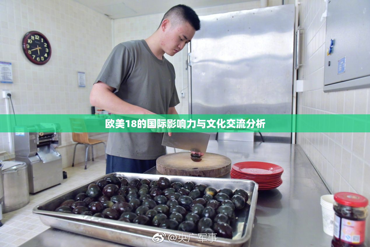 欧美18的国际影响力与文化交流分析