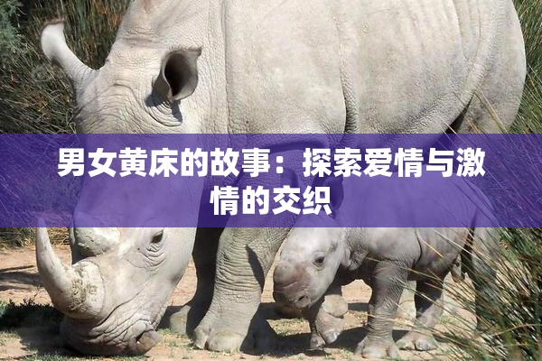 男女黄床的故事：探索爱情与激情的交织
