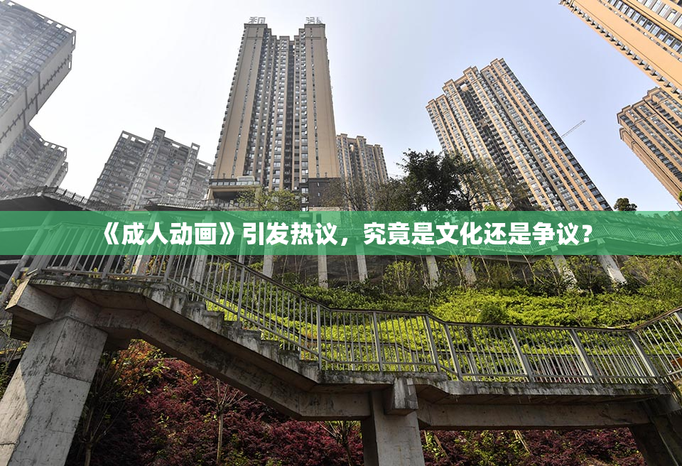 《成人动画》引发热议，究竟是文化还是争议？