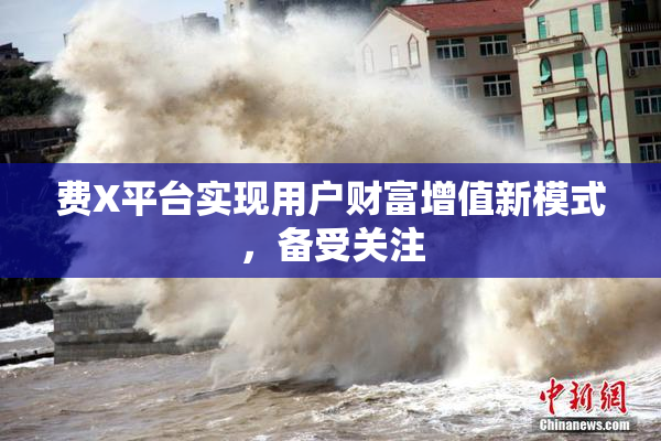 费X平台实现用户财富增值新模式，备受关注