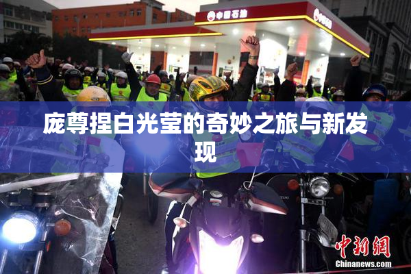 庞尊捏白光莹的奇妙之旅与新发现