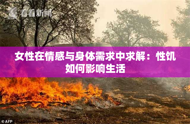 女性在情感与身体需求中求解：性饥如何影响生活