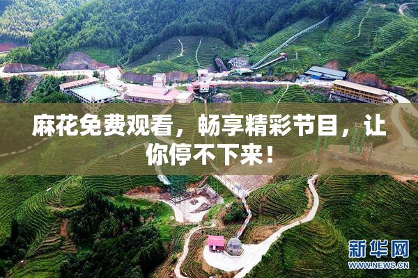 麻花免费观看，畅享精彩节目，让你停不下来！
