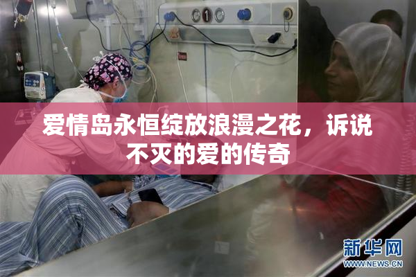 爱情岛永恒绽放浪漫之花，诉说不灭的爱的传奇