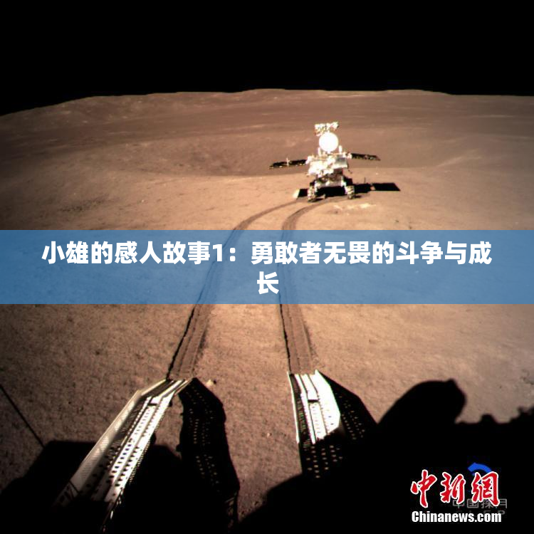 小雄的感人故事1：勇敢者无畏的斗争与成长
