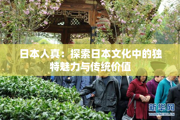 日本人真：探索日本文化中的独特魅力与传统价值