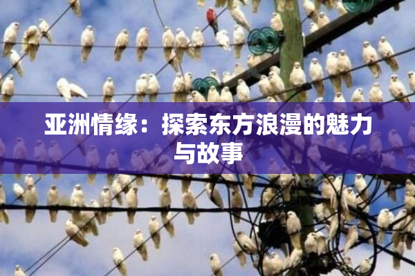 亚洲情缘：探索东方浪漫的魅力与故事
