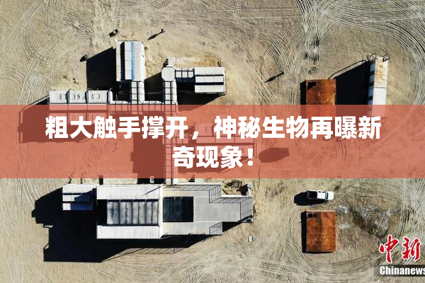 粗大触手撑开，神秘生物再曝新奇现象！