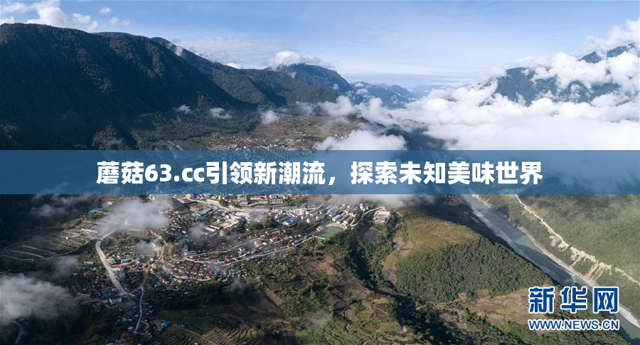 蘑菇63.㏄引领新潮流，探索未知美味世界