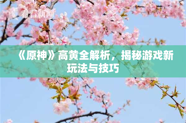 《原神》高黄全解析，揭秘游戏新玩法与技巧