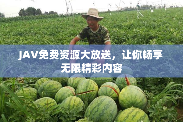 JAV免费资源大放送，让你畅享无限精彩内容