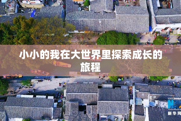 小小的我在大世界里探索成长的旅程