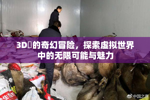 3D姉的奇幻冒险，探索虚拟世界中的无限可能与魅力