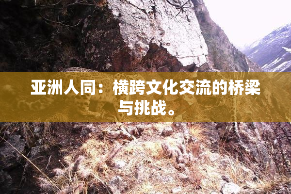 亚洲人同：横跨文化交流的桥梁与挑战。