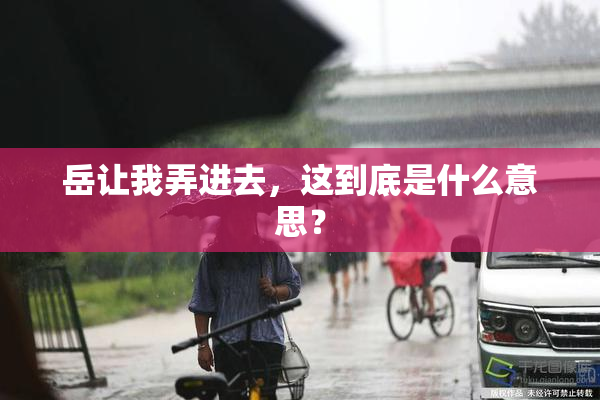 岳让我弄进去，这到底是什么意思？