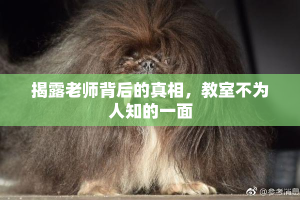 揭露老师背后的真相，教室不为人知的一面