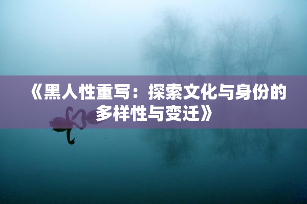 《黑人性重写：探索文化与身份的多样性与变迁》