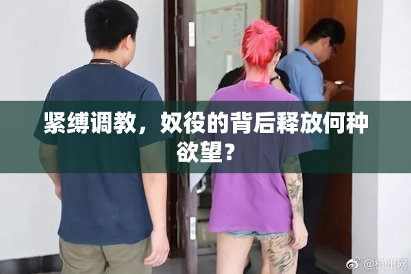 紧缚调教，奴役的背后释放何种欲望？