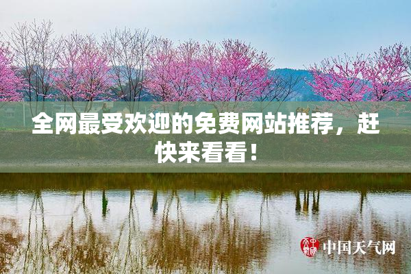 全网最受欢迎的免费网站推荐，赶快来看看！