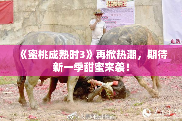 《蜜桃成熟时3》再掀热潮，期待新一季甜蜜来袭！