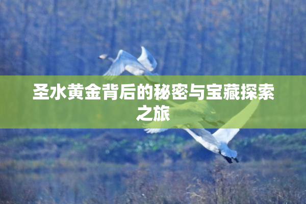 圣水黄金背后的秘密与宝藏探索之旅