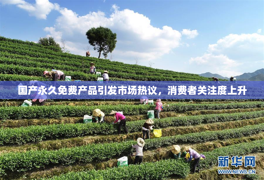 国产永久免费产品引发市场热议，消费者关注度上升