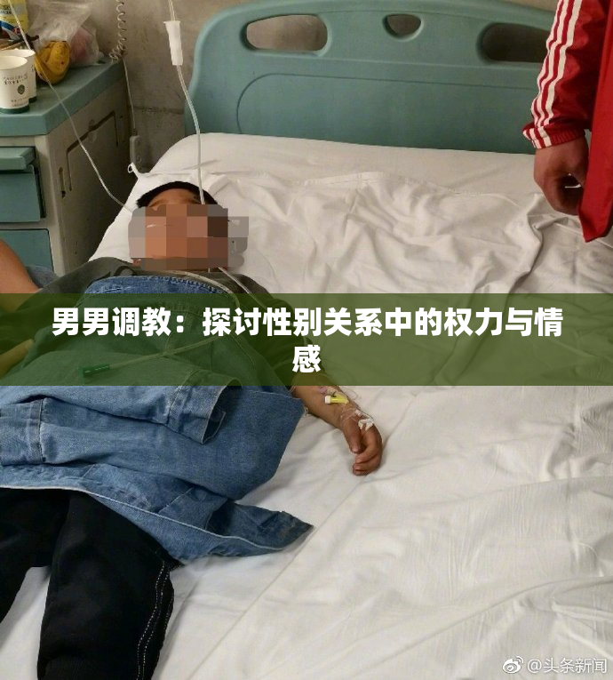 男男调教：探讨性别关系中的权力与情感