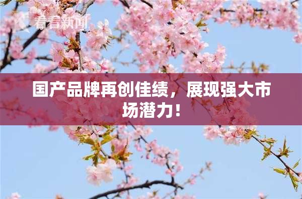 国产品牌再创佳绩，展现强大市场潜力！