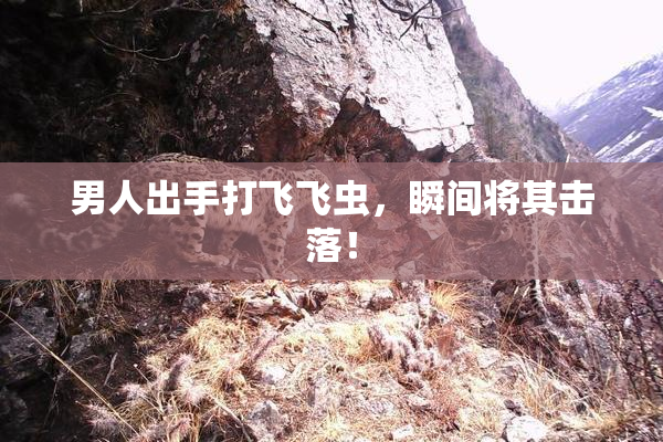 男人出手打飞飞虫，瞬间将其击落！