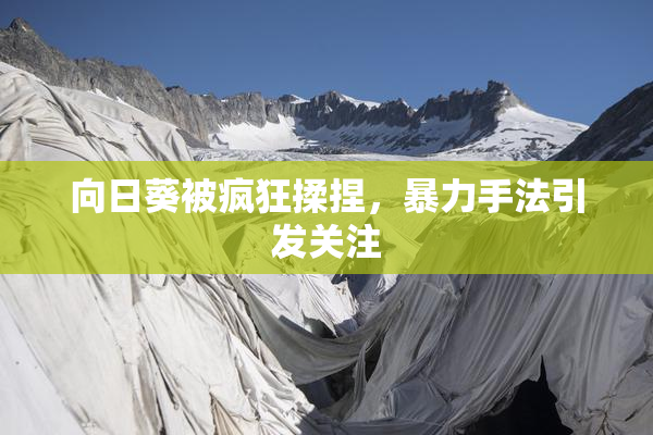 向日葵被疯狂揉捏，暴力手法引发关注