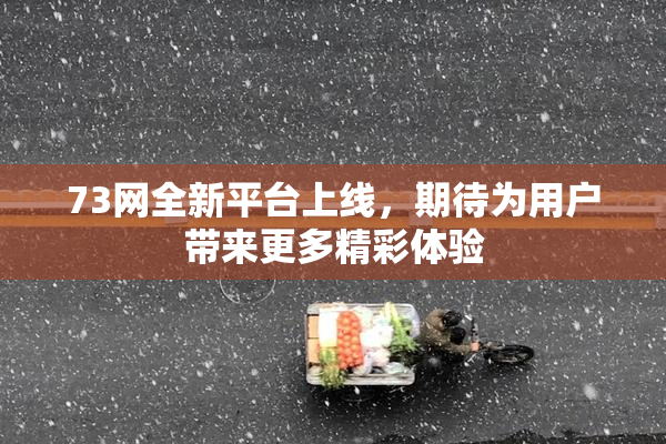 73网全新平台上线，期待为用户带来更多精彩体验