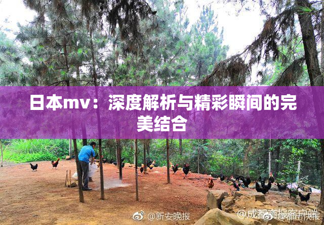 日本mv：深度解析与精彩瞬间的完美结合