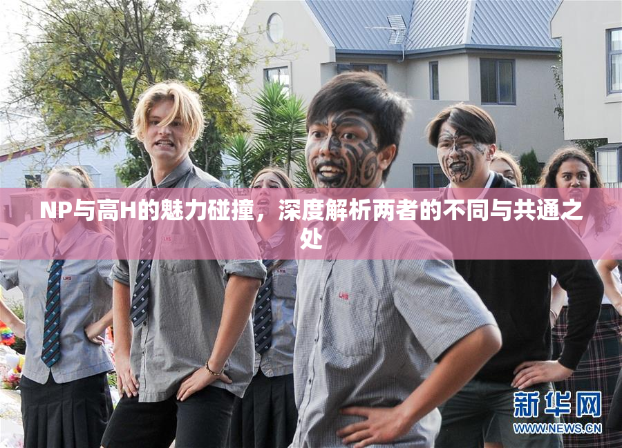 NP与高H的魅力碰撞，深度解析两者的不同与共通之处