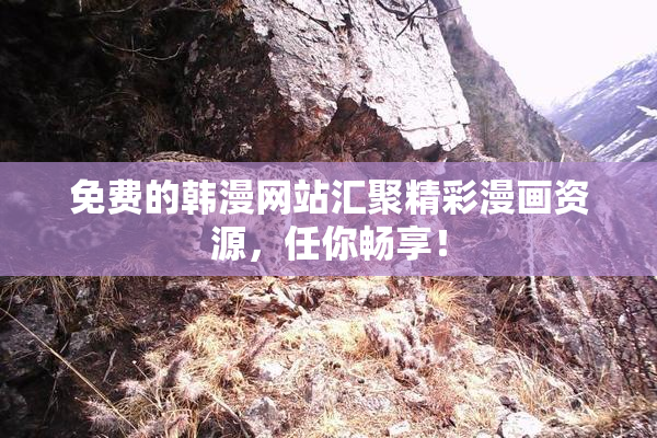 免费的韩漫网站汇聚精彩漫画资源，任你畅享！