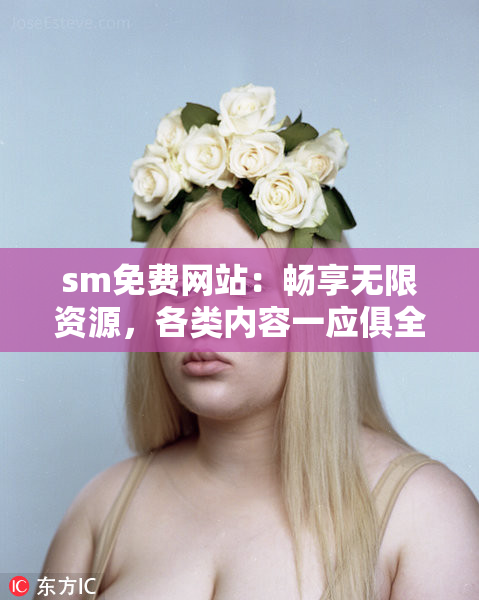 sm免费网站：畅享无限资源，各类内容一应俱全