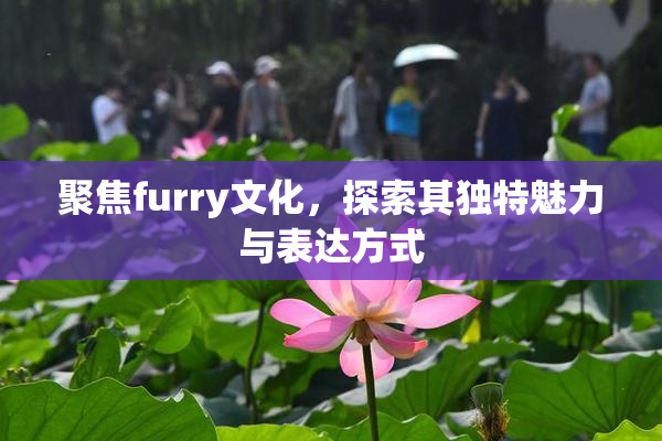 聚焦furry文化，探索其独特魅力与表达方式