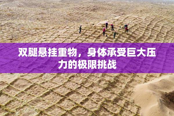 双腿悬挂重物，身体承受巨大压力的极限挑战