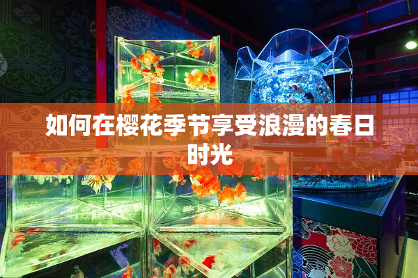 如何在樱花季节享受浪漫的春日时光