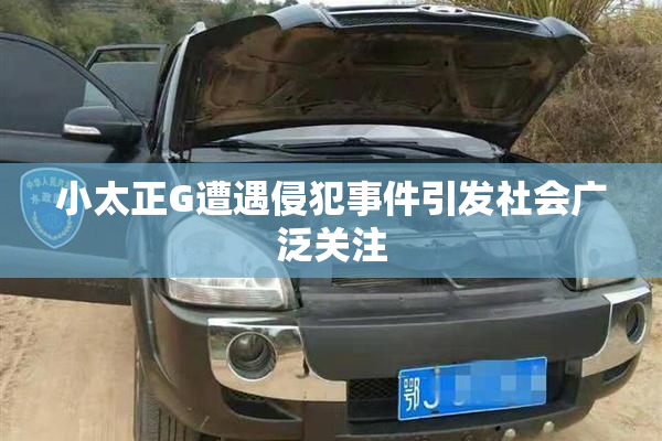 小太正G遭遇侵犯事件引发社会广泛关注
