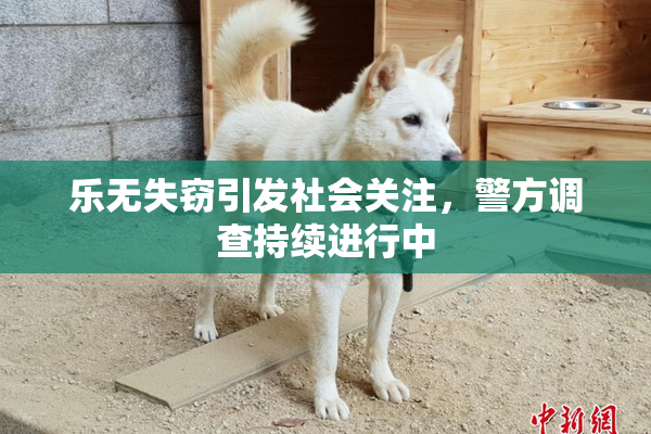 乐无失窃引发社会关注，警方调查持续进行中