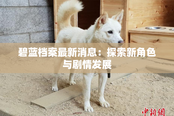 碧蓝档案最新消息：探索新角色与剧情发展