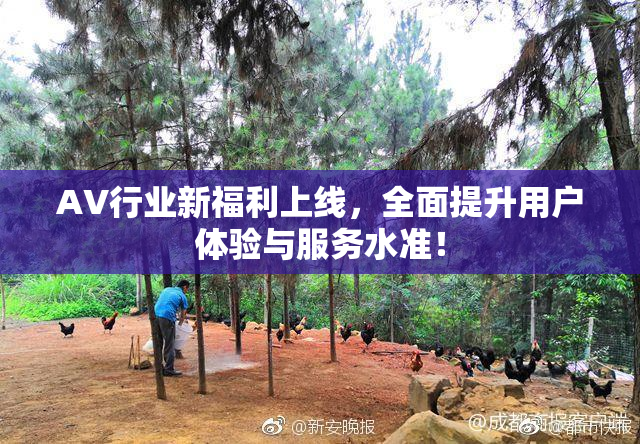 AV行业新福利上线，全面提升用户体验与服务水准！