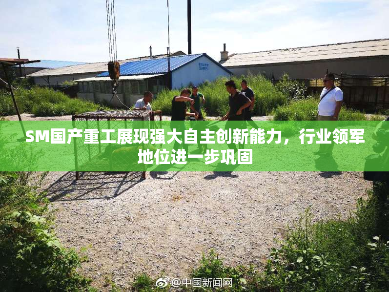 SM国产重工展现强大自主创新能力，行业领军地位进一步巩固