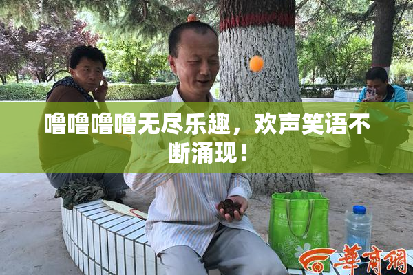 噜噜噜噜无尽乐趣，欢声笑语不断涌现！
